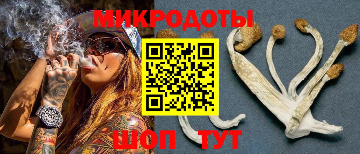 Нарткала  Псилоцибиновые грибы мухоморы  закладка  Вход с VPN 